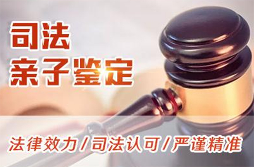 衢州司法DNA亲子鉴定流程,衢州司法DNA亲子鉴定哪里能做