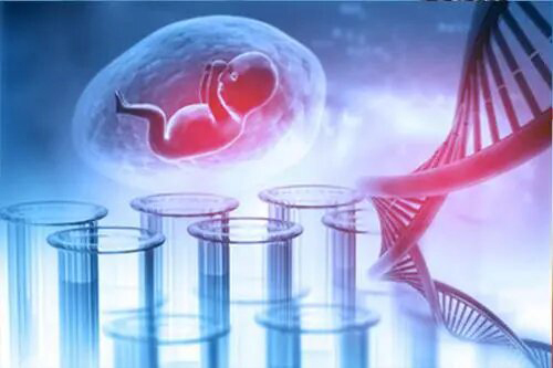 怀孕期间衢州怎么做产前亲子鉴定,衢州办理孕期亲子鉴定结果准确吗